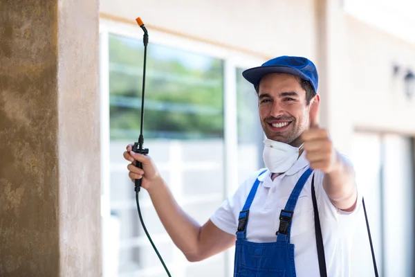 Hamilton Wasp Removal