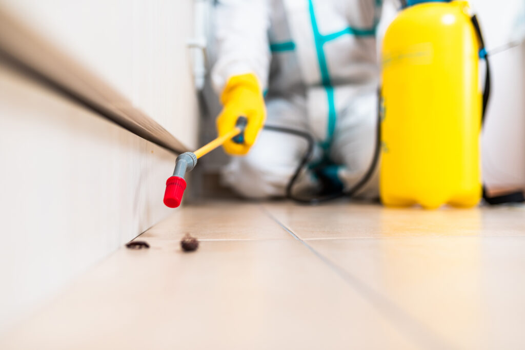 Hamilton Cockroach Experts