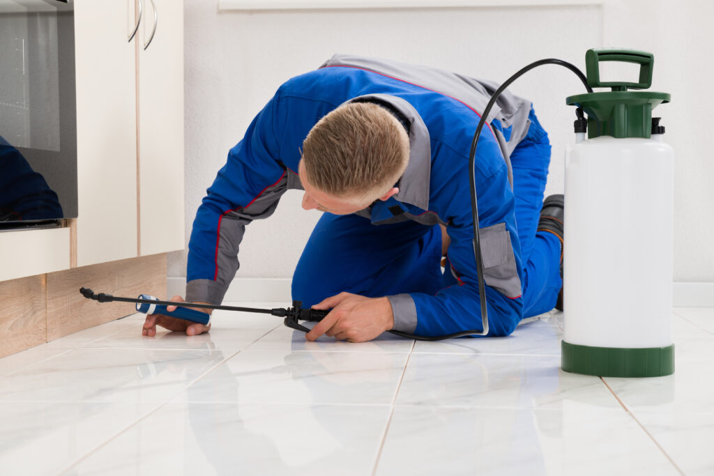 Hamilton Ant Control Xperts