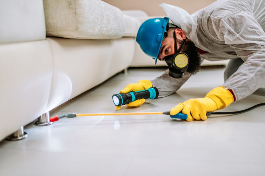 Hamilton Termite Control