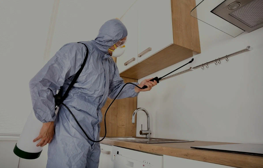 Hamilton pest managment